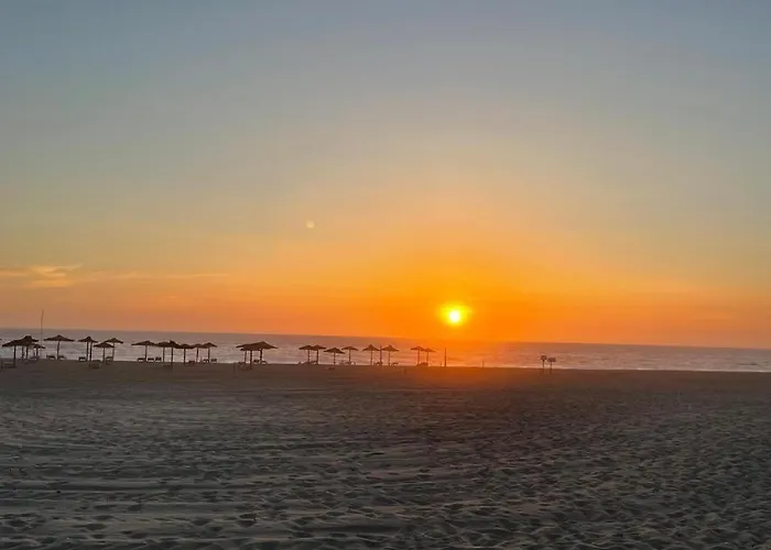 Oasis - Farol Do Mar